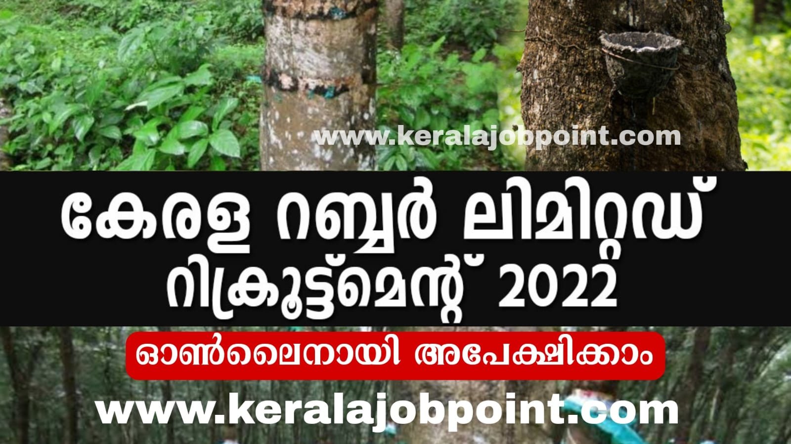 Kerala Rubber Limited Recruitment Apply Now Keralajobpoint