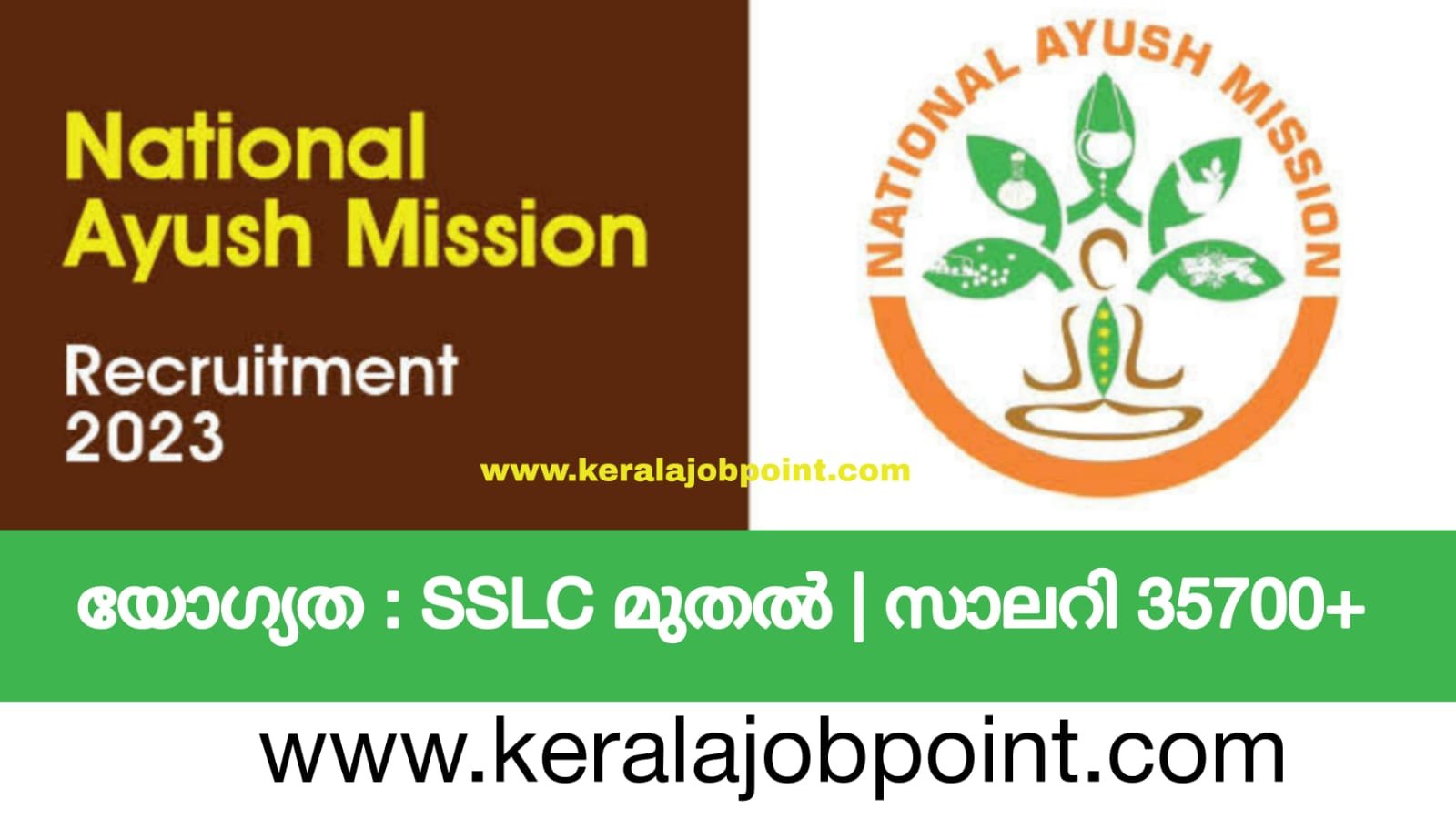 National Ayush Mission District Programme Job Vacancy 2023 Apply Now