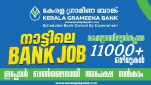 IBPS CRP RRBs XV Recruitment-2026 Apply Now