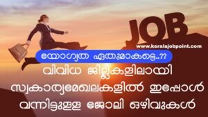 Private Job Oct -2026 Apply Now