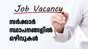 October Gvt Job Vacancy Apply Now